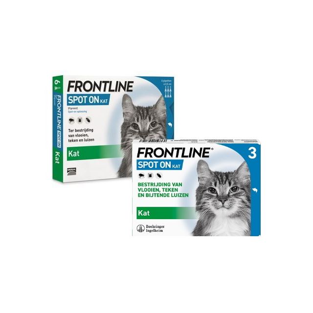 Frontline