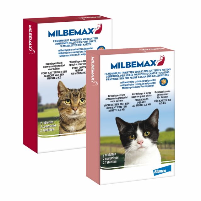 MILBACTOR® 4 mg/10 mg Comprimé pelliculé pour petits chats pesant au moins  0,5 kg - Med'Vet
