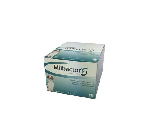 Milbactor 12,5 mg / 125 mg Chien 48 comprimés