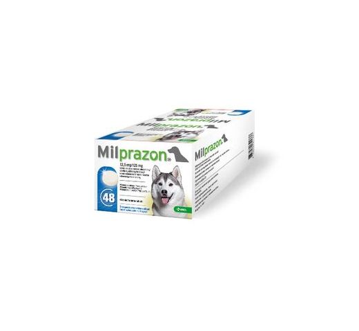 Milbactor 12,5 mg / 125 mg Chien 48 comprimés